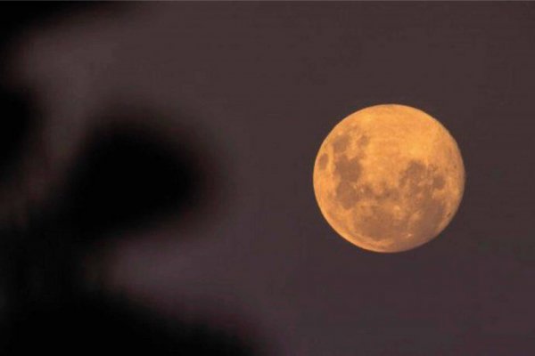 Luna de Fresa: cómo verla desde Argentina