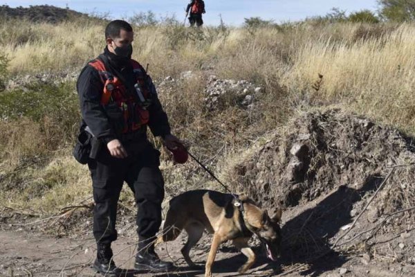 Búsqueda de Guadalupe: una perra marcó una casa y una posible mancha de sangre