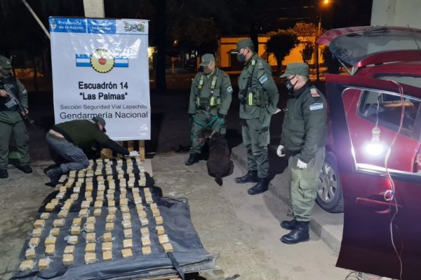 Un perro de Gendarmería detectó marihuana en el interior del torpedo de un auto