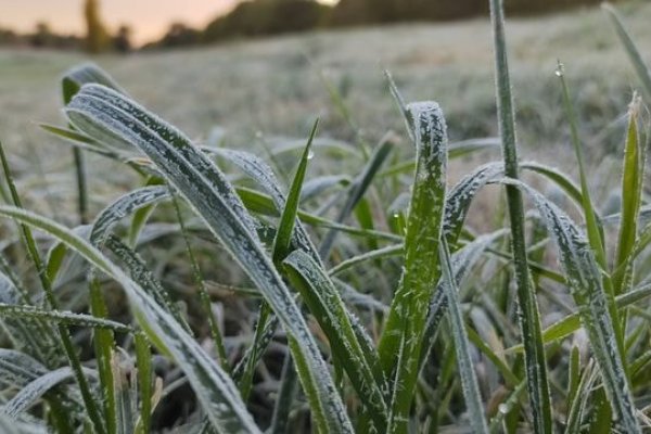 La ola polar se mantendrá durante toda la semana en Corrientes