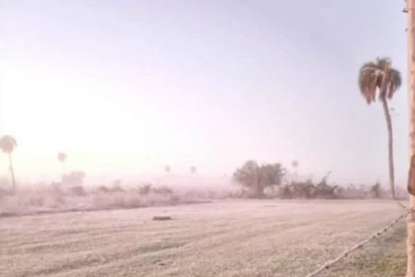 Heladas en Corrientes: Los campos amanecieron con escarcha
