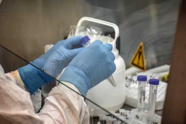 Corrientes registró 789 casos nuevos de Coronavirus: 242 en Capital y 547 en el Interior