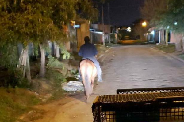 A caballo quiso robar un foco