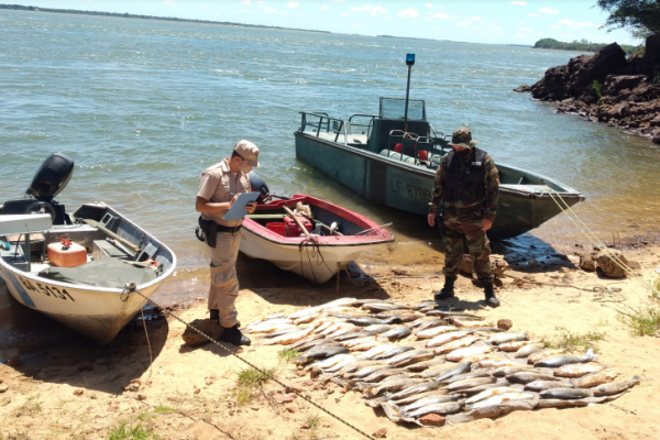 Pesca ilegal en el río Paraná: Secuestran casi 100 bogas, cañas y un mallón