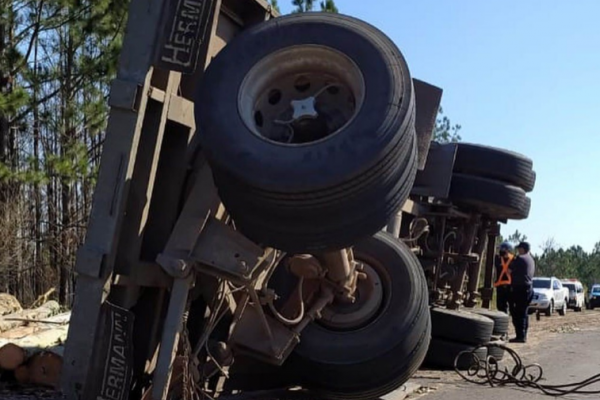 Camión despistó y perdió su carga de rollizos de madera sobre la ruta