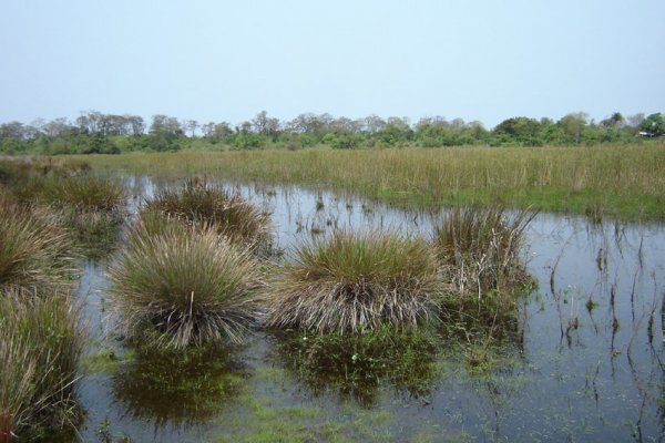 Corrientes estrena una nueva reserva natural