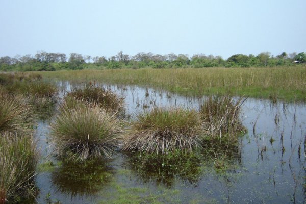 La Legislatura reconoció oficialmente a la Reserva natural Apipé como Parque provincial