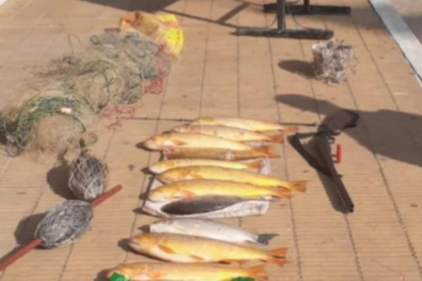 Decomisaron más de 100 pescados y $900 mil en equipos de pesca ilegal