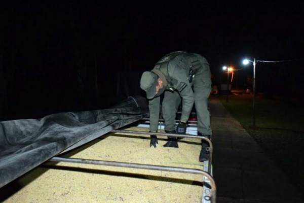 Corrientes: Trasladaban 57 toneladas de soja en camiones de manera irregular