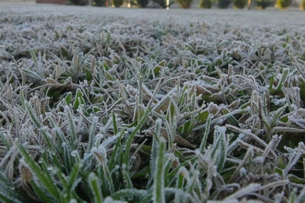 Frío en Corrientes: Tremenda helada en zona rural de Goya