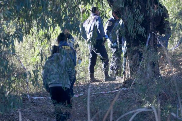 Salió a pasear el perro y encontró el cuerpo de una mujer asesinada a golpes