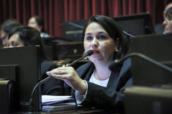Camau Espínola y Ana Almirón serán candidatos a senadores nacionales