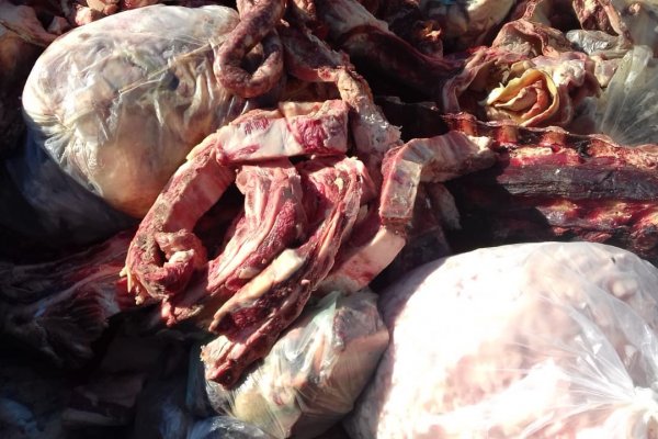 Secuestraron 165 kilos de carne bovina no apta para consumo humano