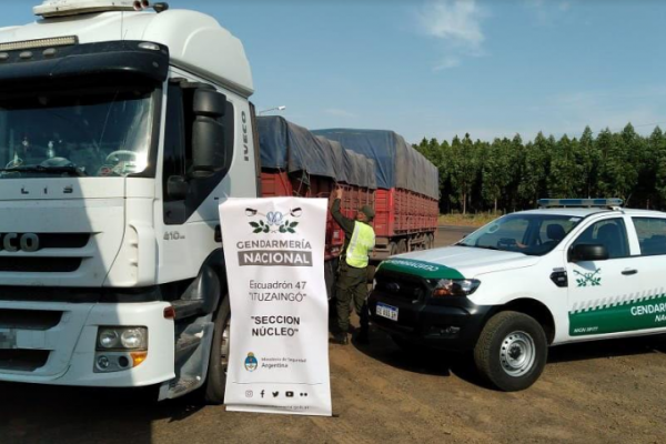 Corrientes: Decomisan 196 toneladas de soja que eran trasladados en siete camiones