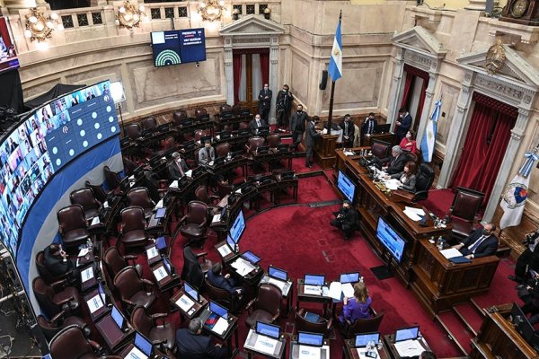 Solo cinco senadores nacionales buscarán retener sus bancas este año