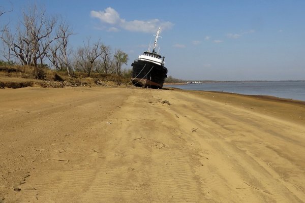 Estudian cómo impacta la bajante del río Paraná en el agro y en el ambiente