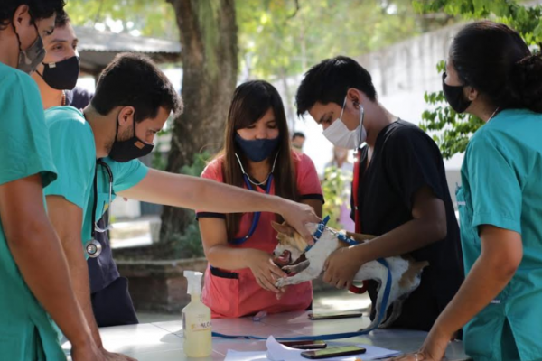 Más de 13 mil alumnos de la UNNE accedieron a las becas Progresar