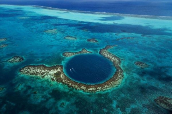 Increíble hallazgo de virus gigantes en el lugar más profundo de la Tierra