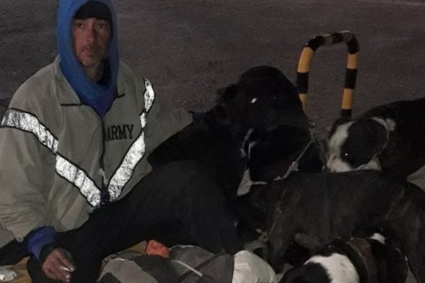 Viaja desde Neuquén hasta Corrientes a pie para no abandonar a sus perros