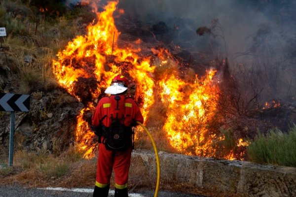 La ola de calor causó incendios en Grecia, Turquía, Italia y España