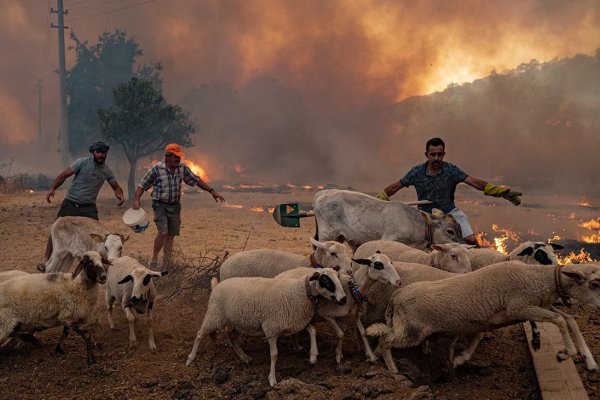 La gran ola de calor en Turquía y Chipre elevó la temperatura a los 50 grados