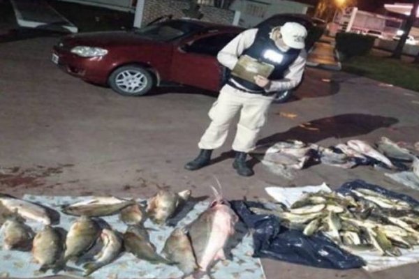 Trasladaba en un auto más de 400 kilos de pescados