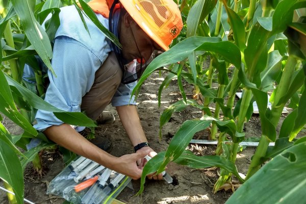 Graduado de la UNNE fue distinguido por la Sociedad de Agronomía de EE.UU