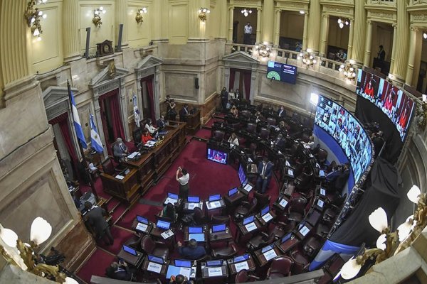 19 de los 24 senadores que terminan su mandato no buscarán la reelección