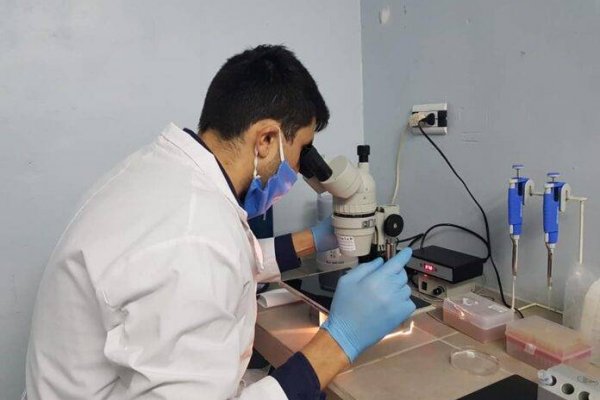 La UNNE otorgará 145 becas para la formación en la carrera de investigación