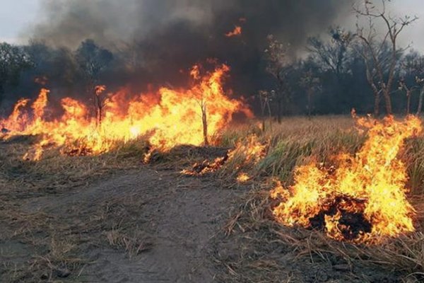 Corrientes: Advierten olor y cenizas por quemas desde Chaco