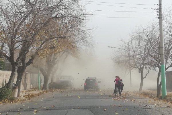 Daños, heridos, intoxicados y clases suspendidas por el viento Zonda