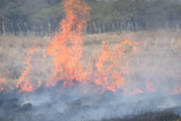 En Capital ya se registraron más de 100 incendios en el mes