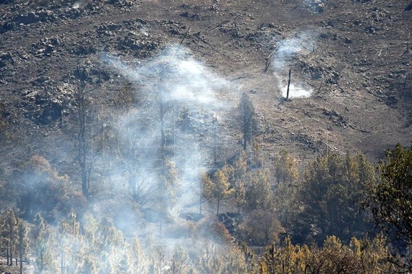 No quedan focos activos de incendios y se mantiene la guardia de cenizas