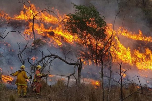La sequía enciende las alarmas por riesgo de incendios forestales