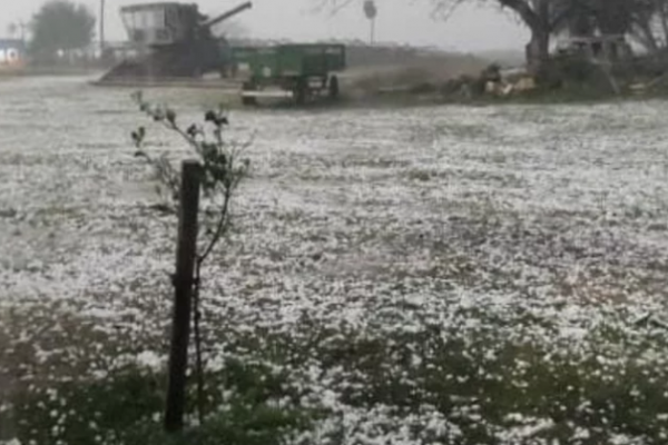 La caída de granizo dañó varias huertas en el departamento de Goya