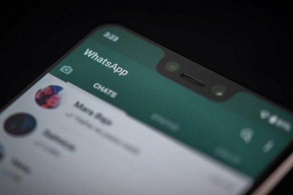 WhatsApp podrá usarse en el iPad y las tablets con Android