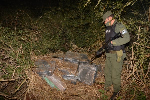 Misiones: Incautan más de 2 toneladas de marihuana ocultos entre la maleza