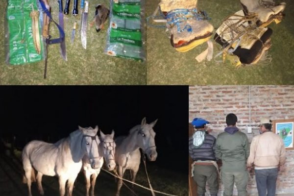 Policías detuvieron a cuatreros en un campo