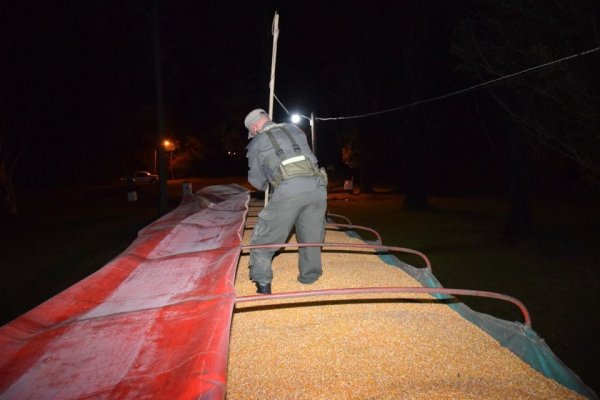 Corrientes: Incautaron más de 72 toneladas de maíz en dos camiones