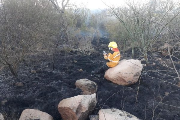 Un bombero terminó de apagar un incendio y se conectó para rendir una materia