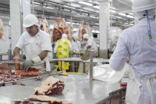 Las restricciones para exportar carne continuarán hasta fin de octubre