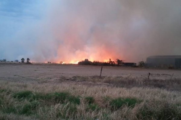 Sequía: Alertan sobre incendios de pastizales en Corrientes