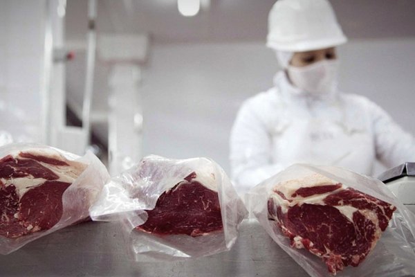Fernández: Los precios de la carne bajaron desde el momento en que restringimos las exportaciones