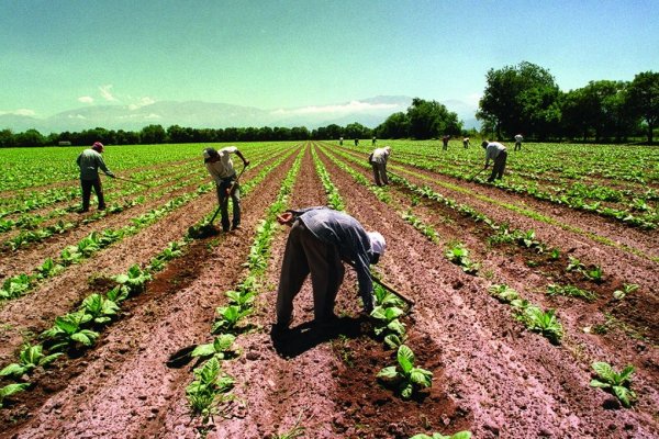 Nuevo régimen: Quiénes podrán ser contratados y no perder planes sociales