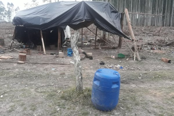 Entre Ríos: Rescataron a 14 víctimas de explotación laboral