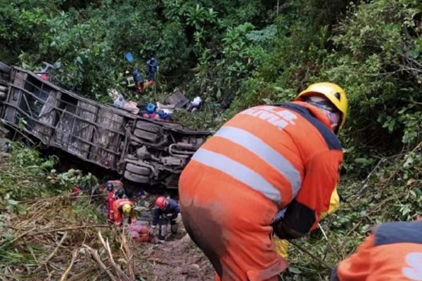 Cayó un ómnibus por un precipicio: 23 muertos y 13 heridos