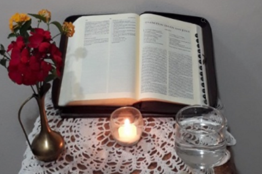 Alientan a entronizar la Biblia en los hogares