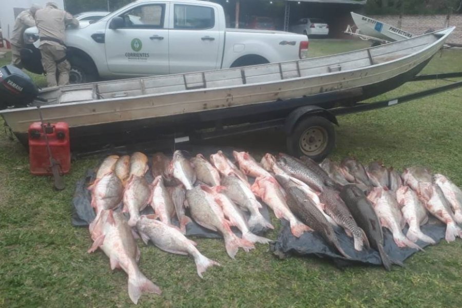 Prefectura decomisó una carga millonaria de pescado en Corrientes