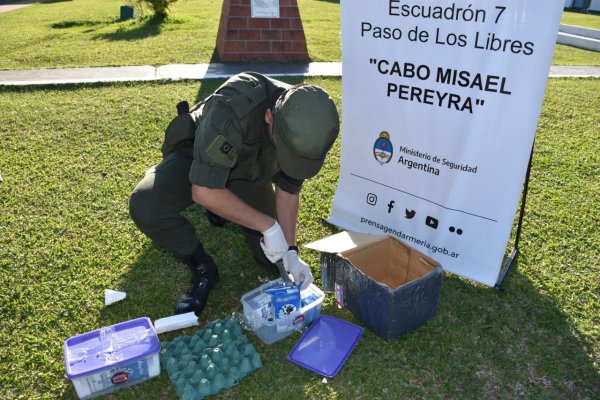 Corrientes: Descubren 2 kilos de marihuana dentro cartones de leche