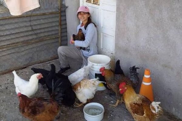 Tiene 14 años, vende huevos y pasó de tener 10 gallinas a 800